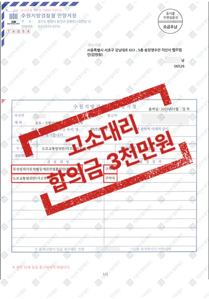 교통사고 고소대리 — 합의금 3,000만 원 — 결과를 표시한 사건 기록(개인정보 가림 처리)