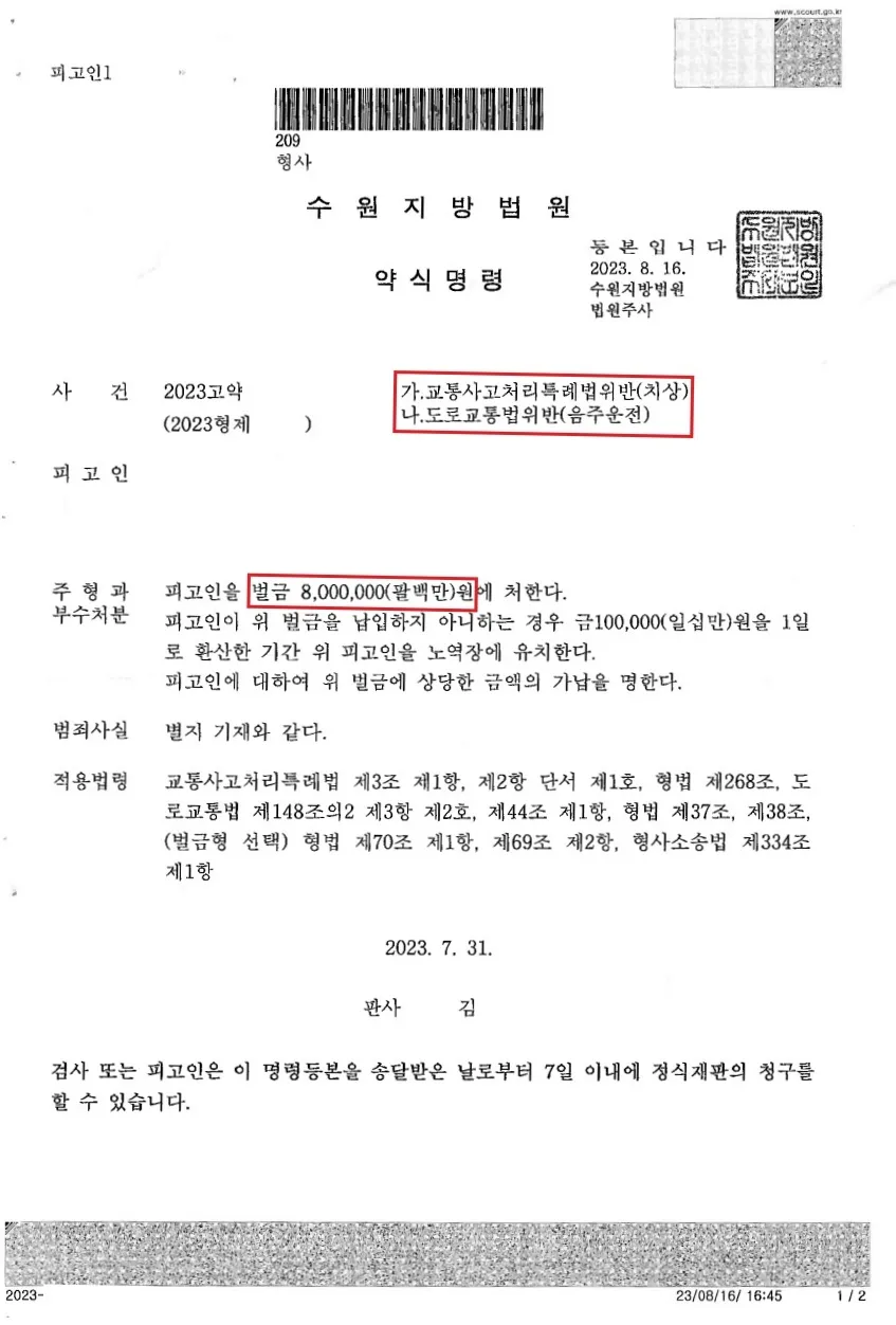 교통사고처리특례법위반(치상)·도로교통법 위반(음주운전) → 벌금 800만 원 약식명령 — 결정문 사본(개인정보 가림 처리)
